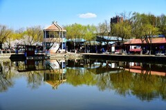 公园休闲踏青随手拍