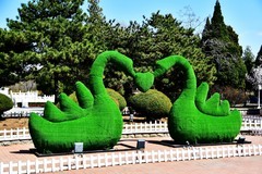 公园休闲踏青随手拍