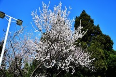 公园休闲踏青随手拍