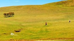 金秋乌兰布统——杨树背（13）