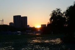 公园夜色（1）