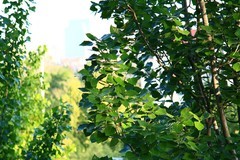 全手动美能达黑金vs潘太康50 1.8 ， 百丽135 2.8