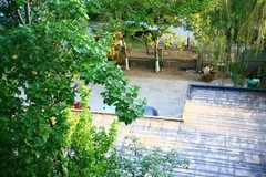 全手动美能达黑金vs潘太康50 1.8 ， 百丽135 2.8