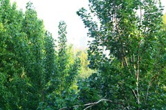 全手动美能达黑金vs潘太康50 1.8 ， 百丽135 2.8