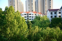 全手动美能达黑金vs潘太康50 1.8 ， 百丽135 2.8