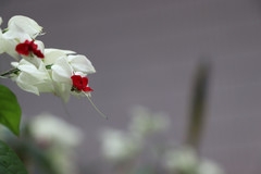 佳能80D标准套机 练习之作！！