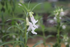 佳能80D标准套机 练习之作！！