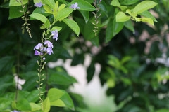 佳能80D标准套机 练习之作！！