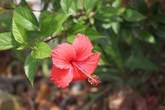 佳能80D标准套机 练习之作！！