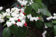 佳能80D标准套机 练习之作！！