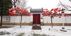 2019年雪后大观园