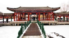 2019年雪后大观园