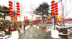 2019年雪后大观园