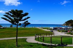 2017.8澳大利亚游