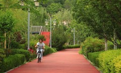 好久没有发帖了，几天没事，公园随拍