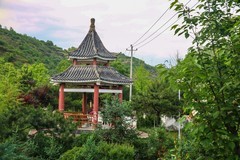 好久没有发帖了，几天没事，公园随拍