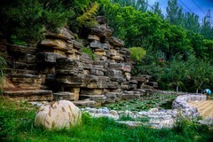 好久没有发帖了，几天没事，公园随拍