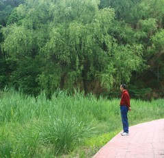 好久没有发帖了，几天没事，公园随拍