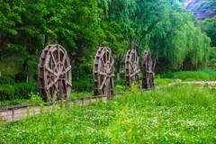 好久没有发帖了，几天没事，公园随拍