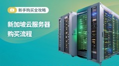 新手指南：新加坡云服务器购买流程