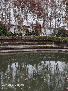 初试vivo X200 Pro于校园雨中荷塘