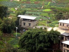 富士S205长焦满试拍后期改大小