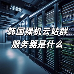 韩国裸机云站群服务器是什么？
