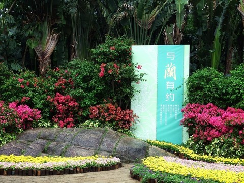  2019 Orchid Exhibition of Xiamen Wanshi Botanical Garden