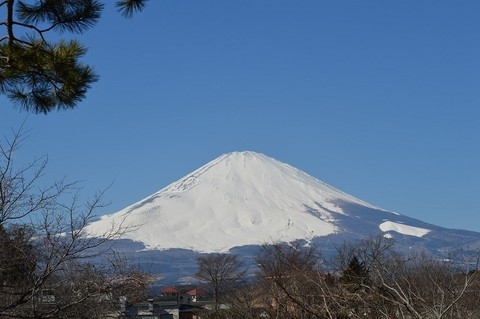  #A Spring Festival, a camera # Mount Fuji