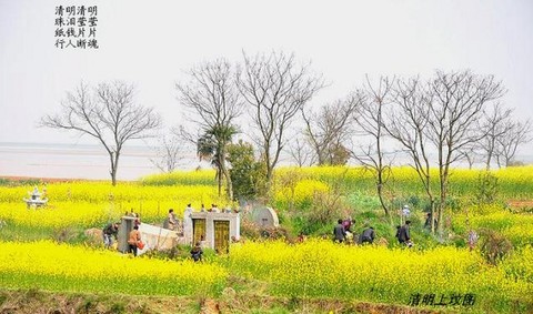  #OPPO I sit in the hall # It rains in Qingming Festival, talk about Qingming