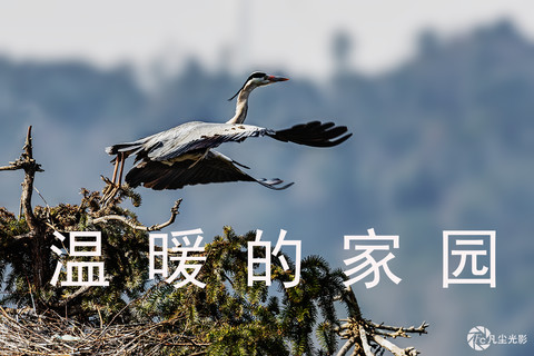 温暖的家园---热忱欢迎八里湖畔好友荣任佳能大版版主 温暖的家园---热忱欢迎八里湖畔好友荣任佳能大版版主