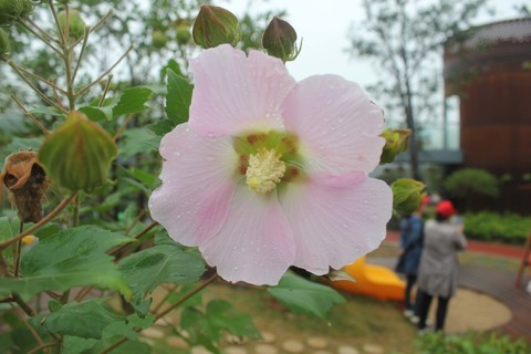 #佳能EOS M6-定格光影# +花样童年 #佳能EOS M6-定格光影# +花样童年