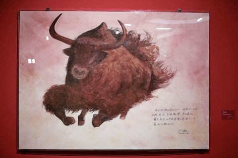 美术馆的练习------美在耕耘 美术馆的练习------美在耕耘