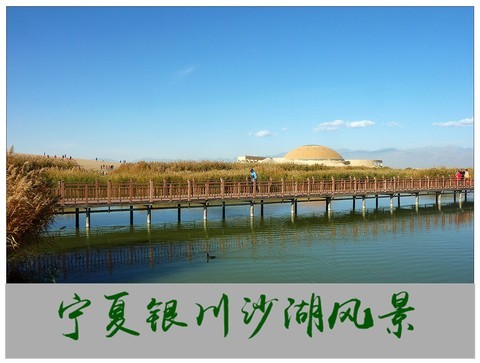旅游随拍-----西北之旅*宁夏银川沙湖风景(下) 旅游随拍-----西北之旅*宁夏银川沙湖风景(下)