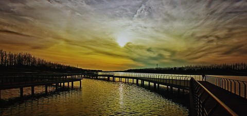 【沙河湿地】(手机版) 【沙河湿地】(手机版)
