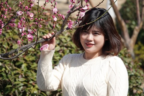 人面梅花相映红 人面梅花相映红