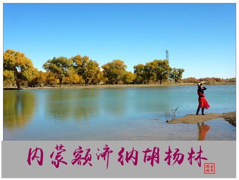 旅游随拍-----西北之旅*内蒙额济纳胡杨林(下) 旅游随拍-----西北之旅*内蒙额济纳胡杨林(下)