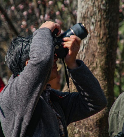  Shooting Plum Blossoms in Plum Blossom Valley