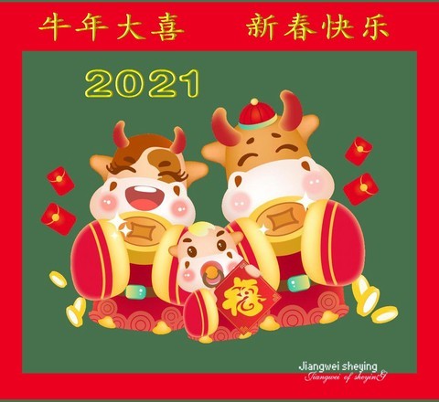 牛年大喜 菊韵献瑞 (销假帖)——10P 牛年大喜 菊韵献瑞 (销假帖)——10P