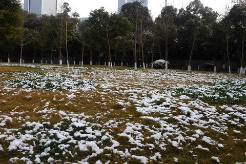 雪后随拍(成都今冬下了一场雪) 雪后随拍(成都今冬下了一场雪)