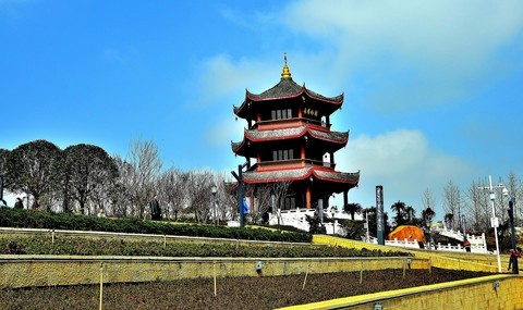 冬拍:阳湖公园... 冬拍:阳湖公园...