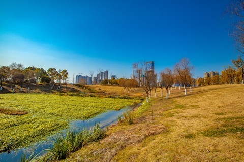 洋湖湿地冬季风景 40 洋湖湿地冬季风景 40