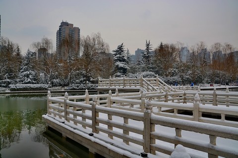 公园春雪