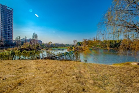  Winter Scenery of Yanghu Wetland 41