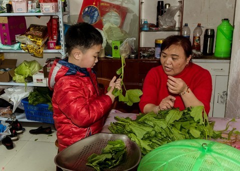 跟着姥姥学择菜(上) 跟着姥姥学择菜(上)