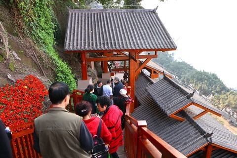 春节初三游戴家巷崖壁步道(二) 春节初三游戴家巷崖壁步道(二)