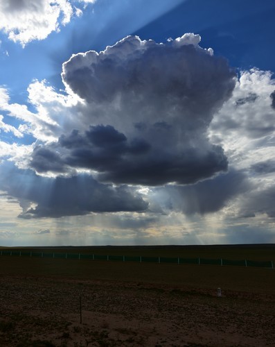 内蒙行摄之锡林郭勒大草原