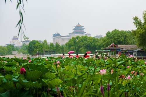 北京莲花池公园☆☆☆（2）