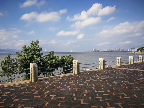 深圳湾红树林公园~ 掠影