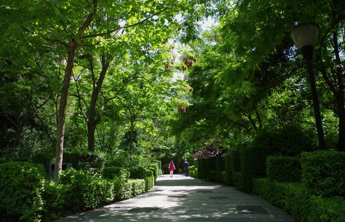 【高清图】绿荫下-中关村在线摄影论坛